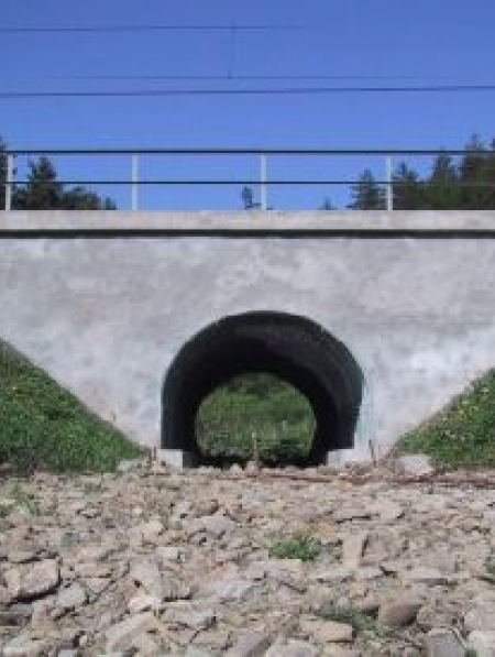 Oprava mosta v km 271,701 trate Žilina-Čadca (Krásno nad Kysucou) 